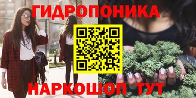 молекула духа Боровичи