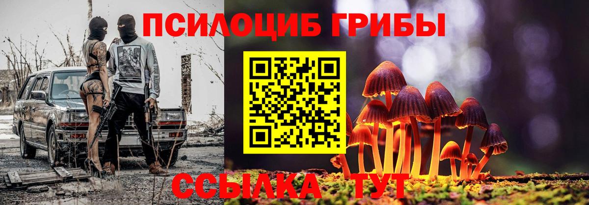 Галлюциногенные грибы мицелий Тверь